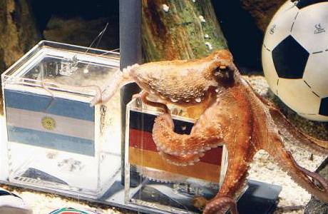 Zesnulá vtící chobotnice Paul, která správn odhadovala výsledky zápas loského mistrovství svta.