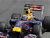 Mark Webber na Red Bullu.