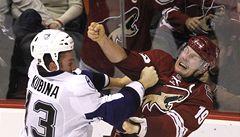 Pavel Kubina a Shane Doan.