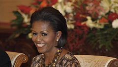 Letadlu s Michelle Obamovou hrozila srka 