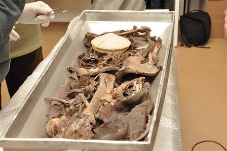 Pohled do rakve s ostatky Tycho Braha 