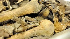 Do hrobky v Týnském chrámu se vrátí ostatky astronoma Tychona Braha 