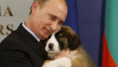 Putinovi kamardci vyhrvaj miliardov tendry od Gazpromu