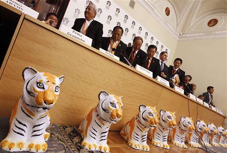 Summit na zchranu tygr v Petrohrad. Jednn ministr zem, kde se voln vyskytuj tygi