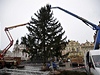 Na Staromstském námstí u stojí vánoní strom.