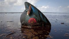 Ropná havárie v Mexickém zálivu. Pilba pracovníka ropné spolenosti na východ Grand Terre ostrova podél pobeí Louisiany. 