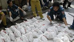 Thajsk policie objevila v chrmu 2 tisce ostatk lidskch plod