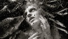 Veletrh Paris Photo: Jirásek - Sleeping with the fish