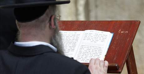 Židé by měli emigrovat do Izraele, řekl nizozemský politik | Svět |  Lidovky.cz
