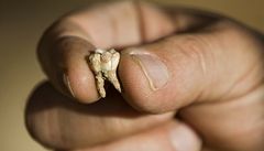 Zub z jeskyně v Izraeli