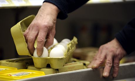 Slovensko zastavilo prodej vajec a drbeího masa z Nmecka