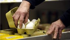 Němci se vysmívají českému 'vaječnému křečkování'