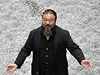 Aj Wej-wej uprosted své známé instalace 'Slunenicová semínka'