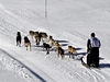 Musher se svým speením pi závod La grande Odyssée