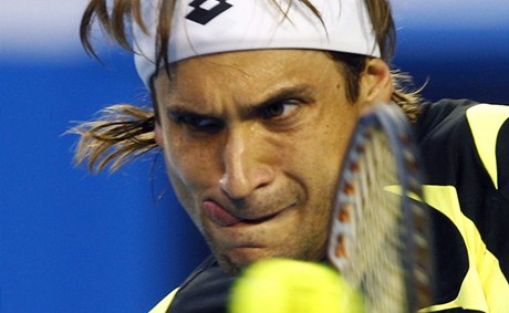 David Ferrer.