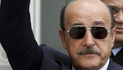 Egyptsk viceprezident Sulajmn peil pokus o atentt, jeho strci zabiti