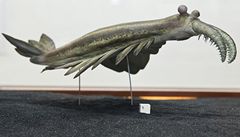 Model živočicha velikého asi 25 centimetrů, který žil také v Čechách