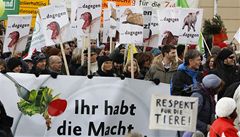 Tisíce Němců kvůli dioxinům v mase požadovaly změny v zemědělství