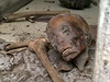 Vandalové v Egyptském muzeu v Káhie pokodili mumie. 