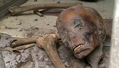 Vandalové v Egyptském muzeu v Káhiře poškodili mumie.  | na serveru Lidovky.cz | aktuální zprávy