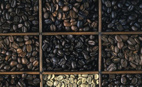 Rzné druhy kávových zrn pak pedurují i rznou chu horkého nápoje. V hlavních kategoriích me být kyselá, sladká, slaná a hoká.