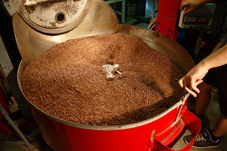 Takto se praží kvalitní, organická kávová zrna v Austrálii.