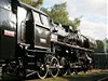 Parní lokomotiva - ilustraní foto