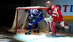 Ha�ek a Kuzn�tsov.