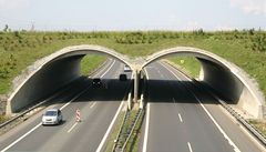 Mosty za miliardy se stavěly zbytečně, zvěř bude silnice podcházet  