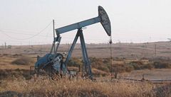 Sadov podle Wikileaks klamou svt, jejich zsoby ropy jsou o 40 % ni