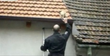 Strážník sundavá vystrašenou čivavu ze střechy brněnského domu