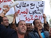 Protestující Alíané podporovali odstoupení egyptského prezidenta Mubaraka