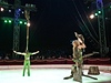 Vystoupení opiek na Cirkus Cirkus Festivalu