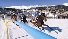 Burácející kopyta títící ledovou plochu svatomoického jezera lákají kadoron na Mezinárodní koský dostih White turf tisíce návtvník (vdy v nedli, te 20. února)