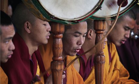 Tibettí mnii - ilustraní foto