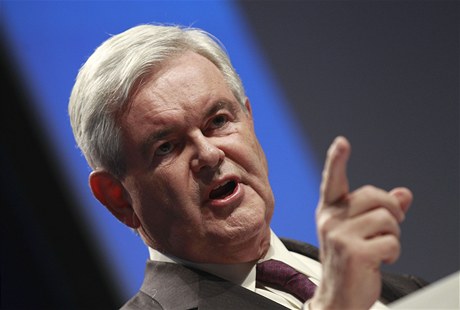 Newt Gingrich naznačil, že by mohl mít zájem ucházet se o stranickou nominaci na prezidenta
