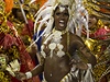 Brazilské karnevalové veselí