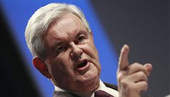 Newt Gingrich naznail, e by mohl mít zájem ucházet se o stranickou nominaci na prezidenta