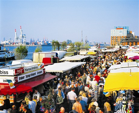 Hambursk trh se kon pmo v pstavu