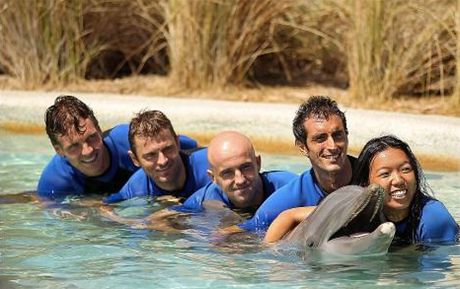 Tenisté v akváriu s delfíny (vzadu Berdych).