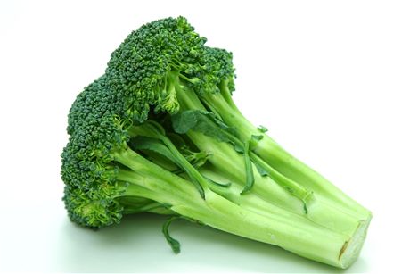 Brokolice - ilustran foto.