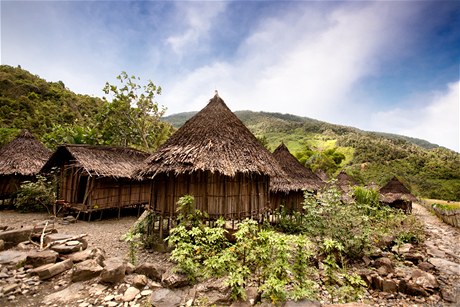 Papua-Nov Guinea - typick obydl