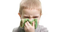 Alergickou rmu je nutn lit, hroz rozvoj astmatu 