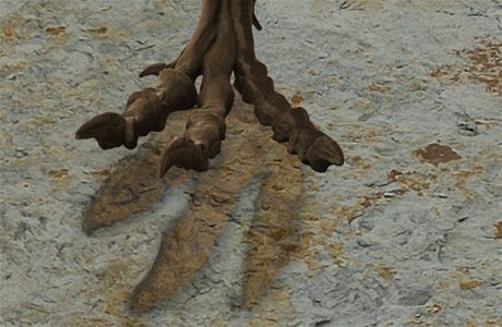 Pibliná podoba dinosauí nohy