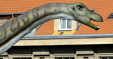 Zábry z DinoParku Praha