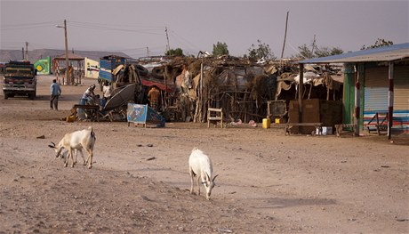 Berbera, Somaliland