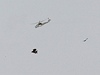 Vrtulník letící nad mstem, vude okolo jsou netopýi