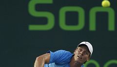 Tomá Berdych.