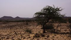 Krajina, Somaliland