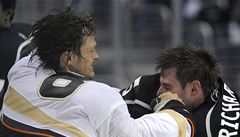 Teemu Selänne v bitce.